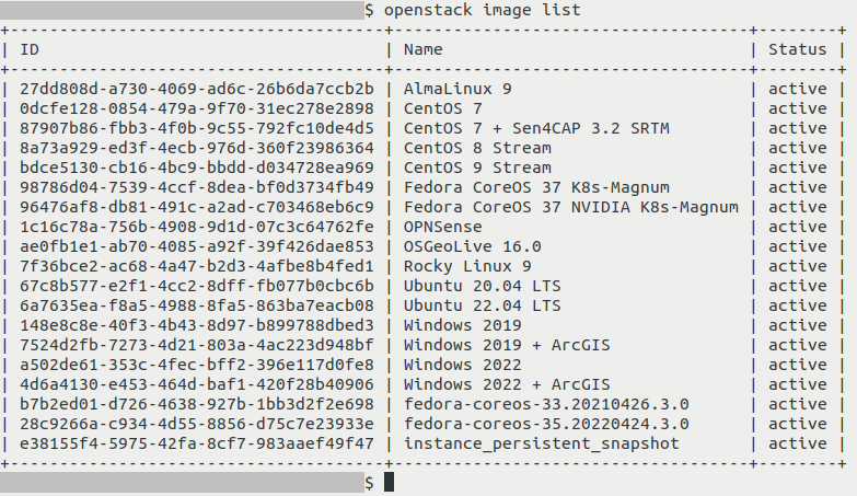 ../_images/how-to-create-instance-snapshot-cli-22_creodias.png